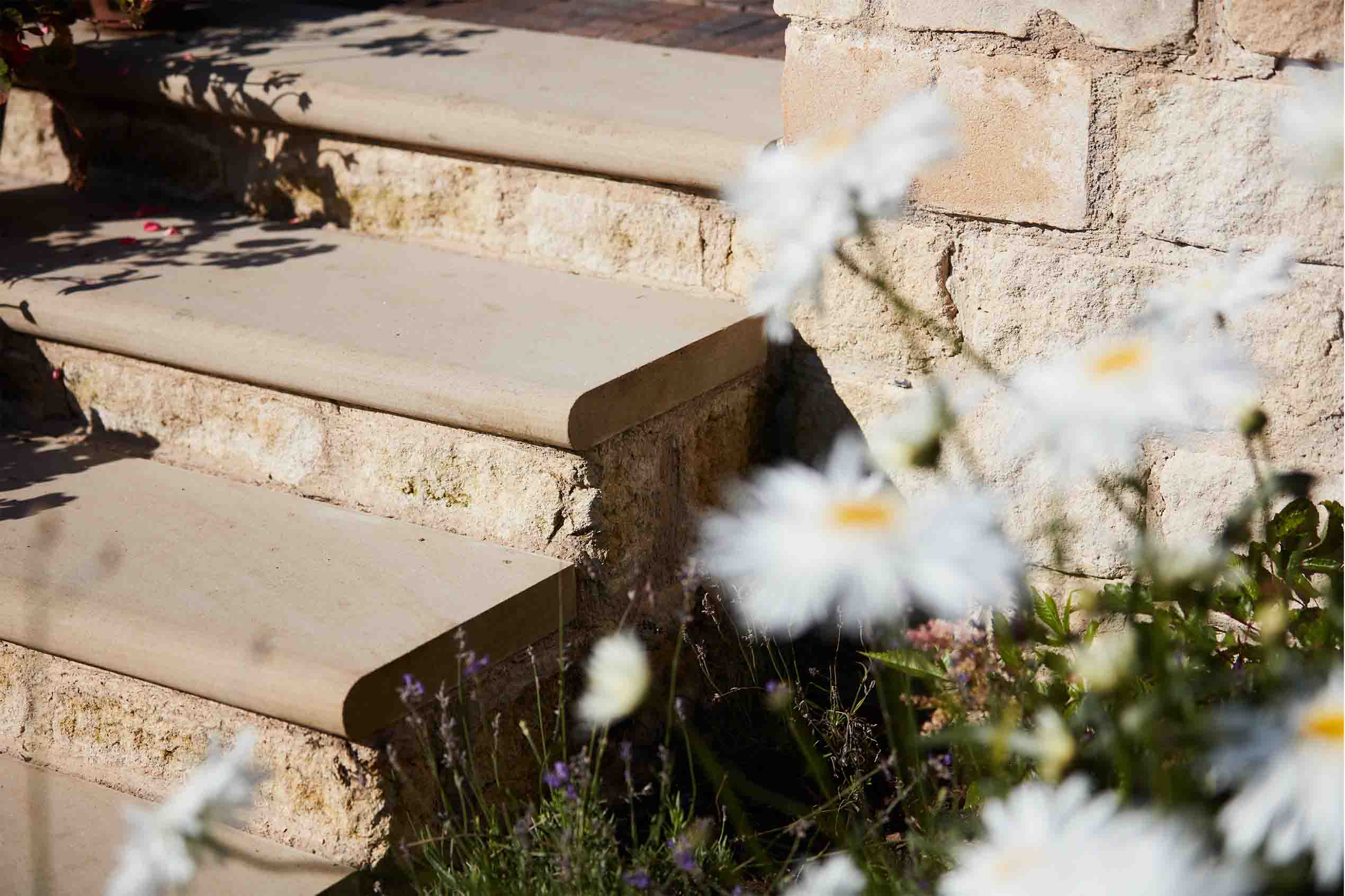 Selby Landscapes | Courtney House | steps Selby Landscapes | Courtney House | steps