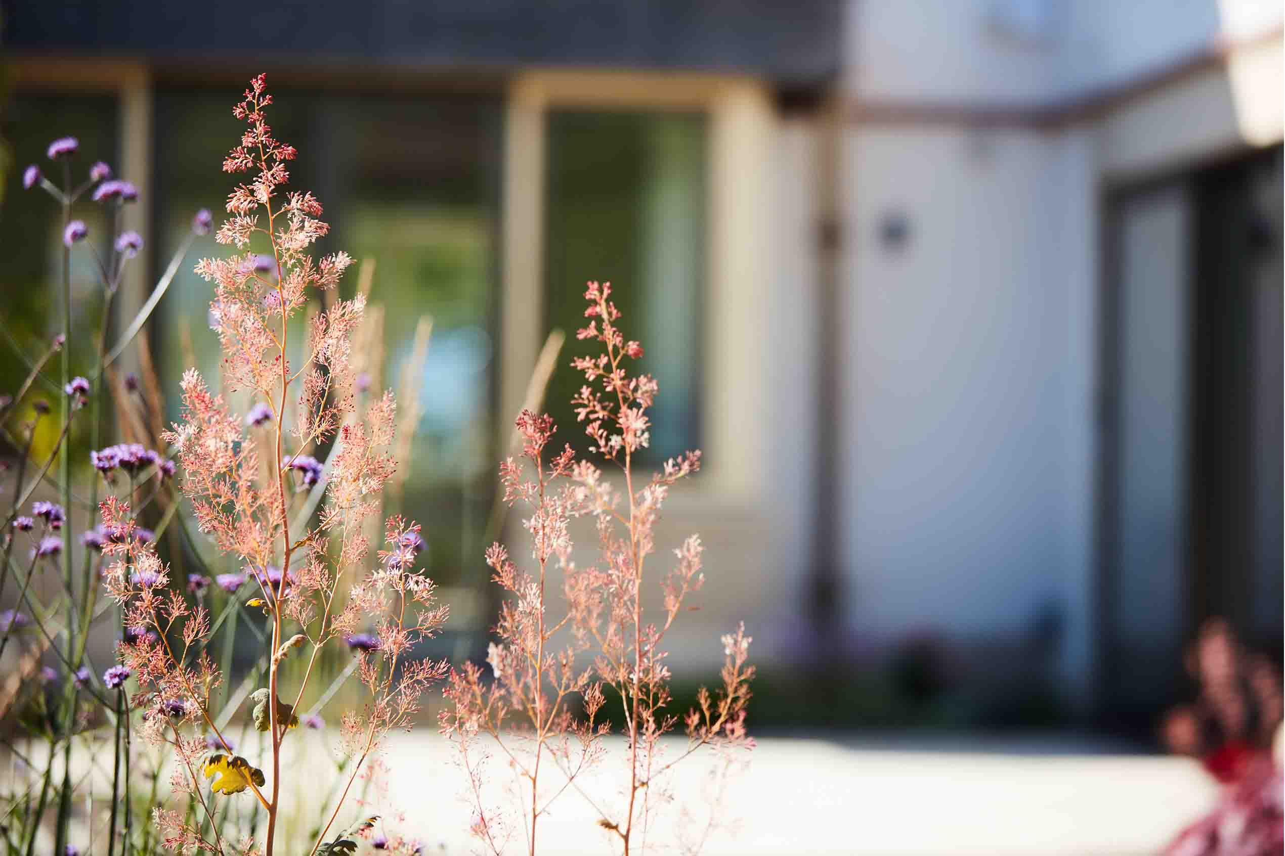 Selby Landscapes | Courtney House | planting house Selby Landscapes | Courtney House | planting house