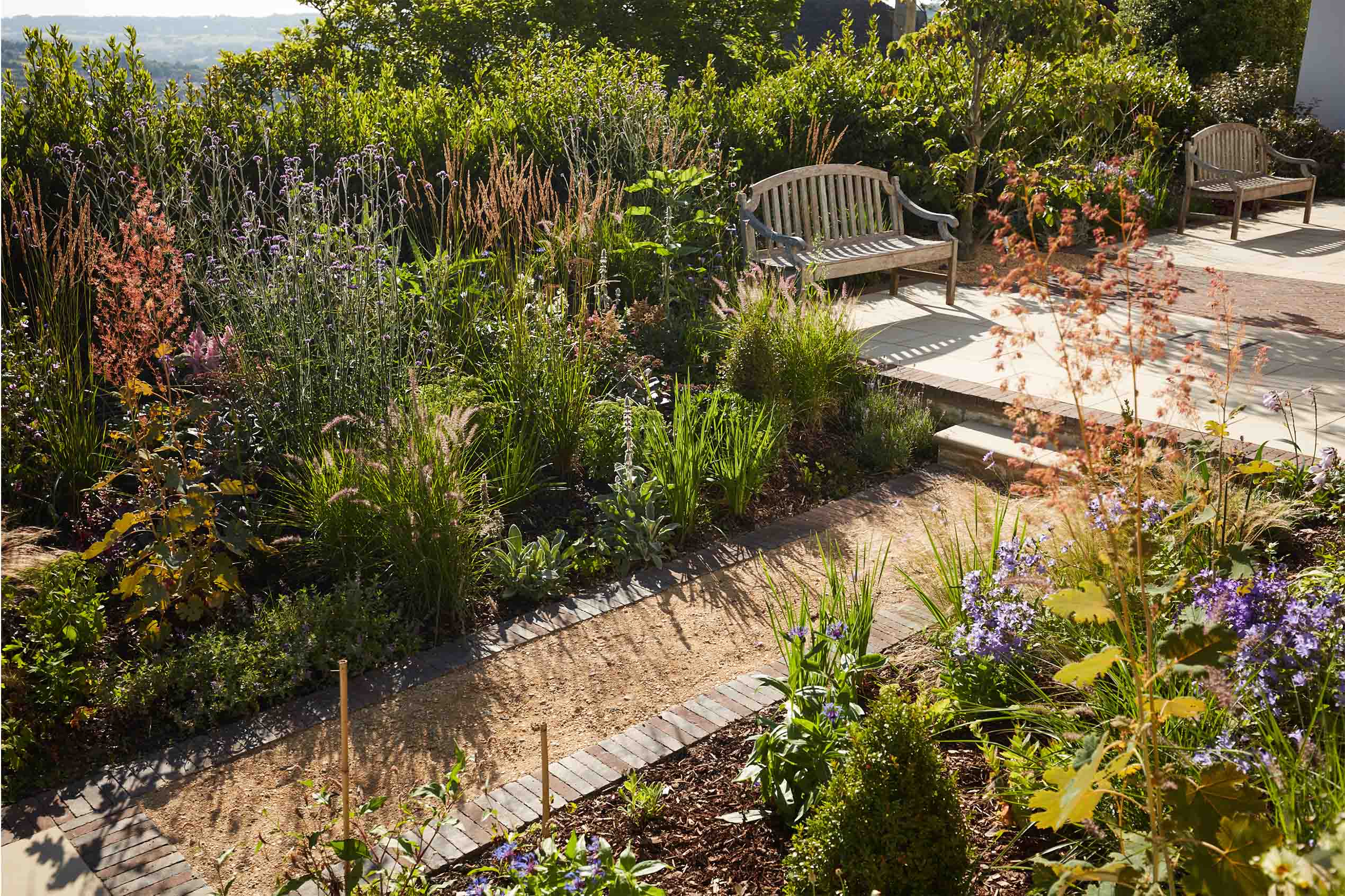 Selby Landscapes | Courtney House | planting Selby Landscapes | Courtney House | planting