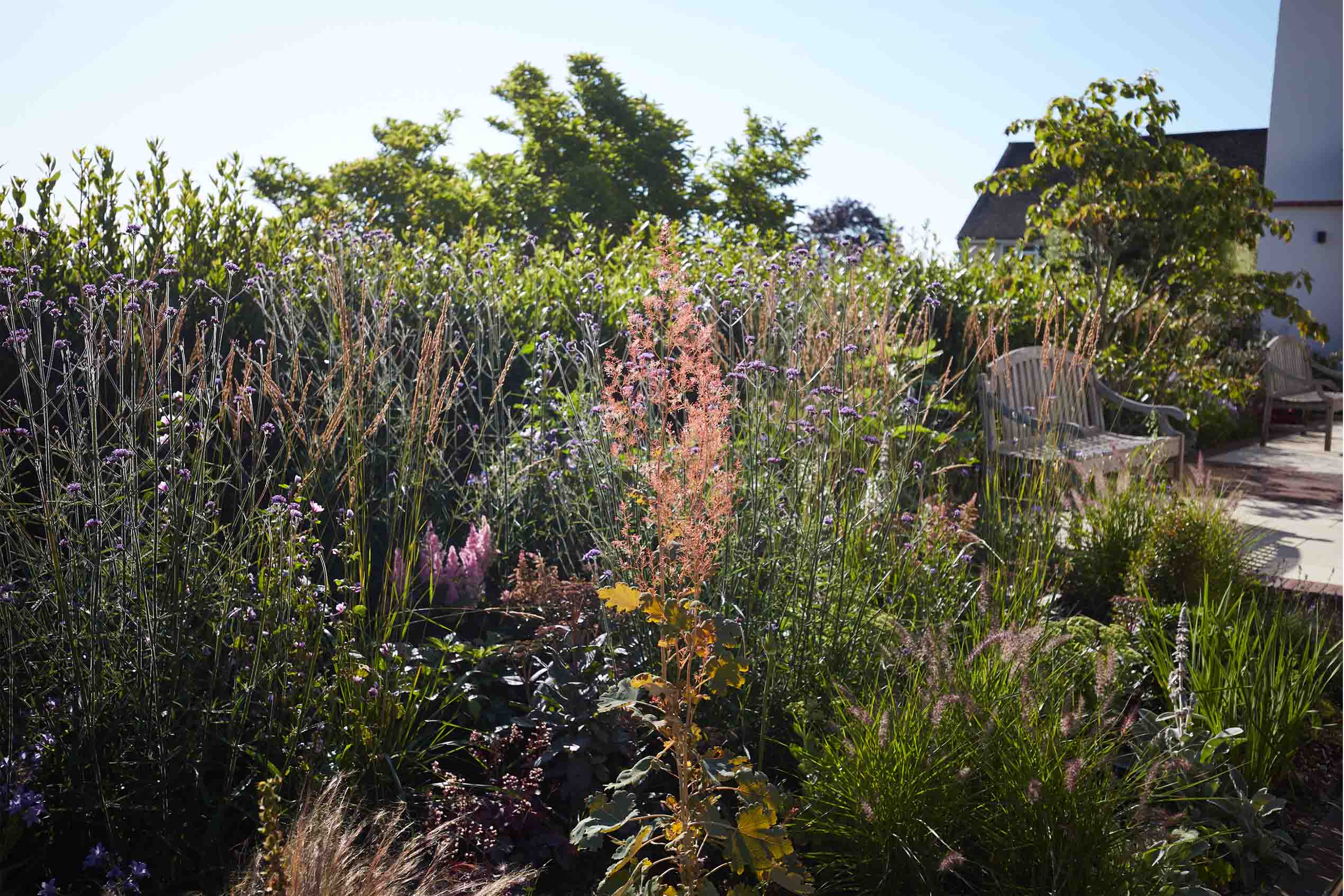 Selby Landscapes | Courtney House | border Selby Landscapes | Courtney House | border