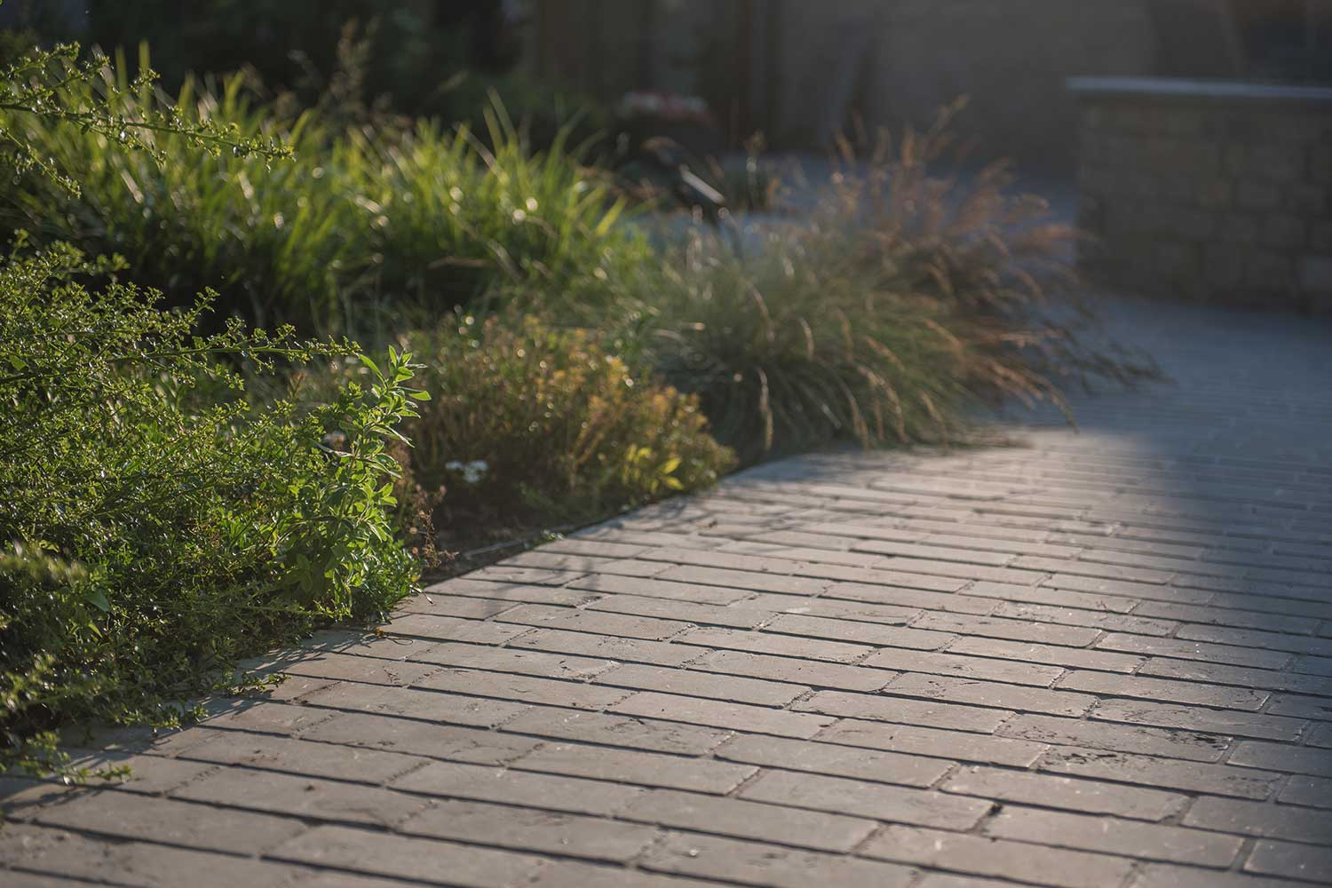 Selby Landscapes | Moat House | planting detail and brickwork Selby Landscapes | Moat House | planting detail and brickwork