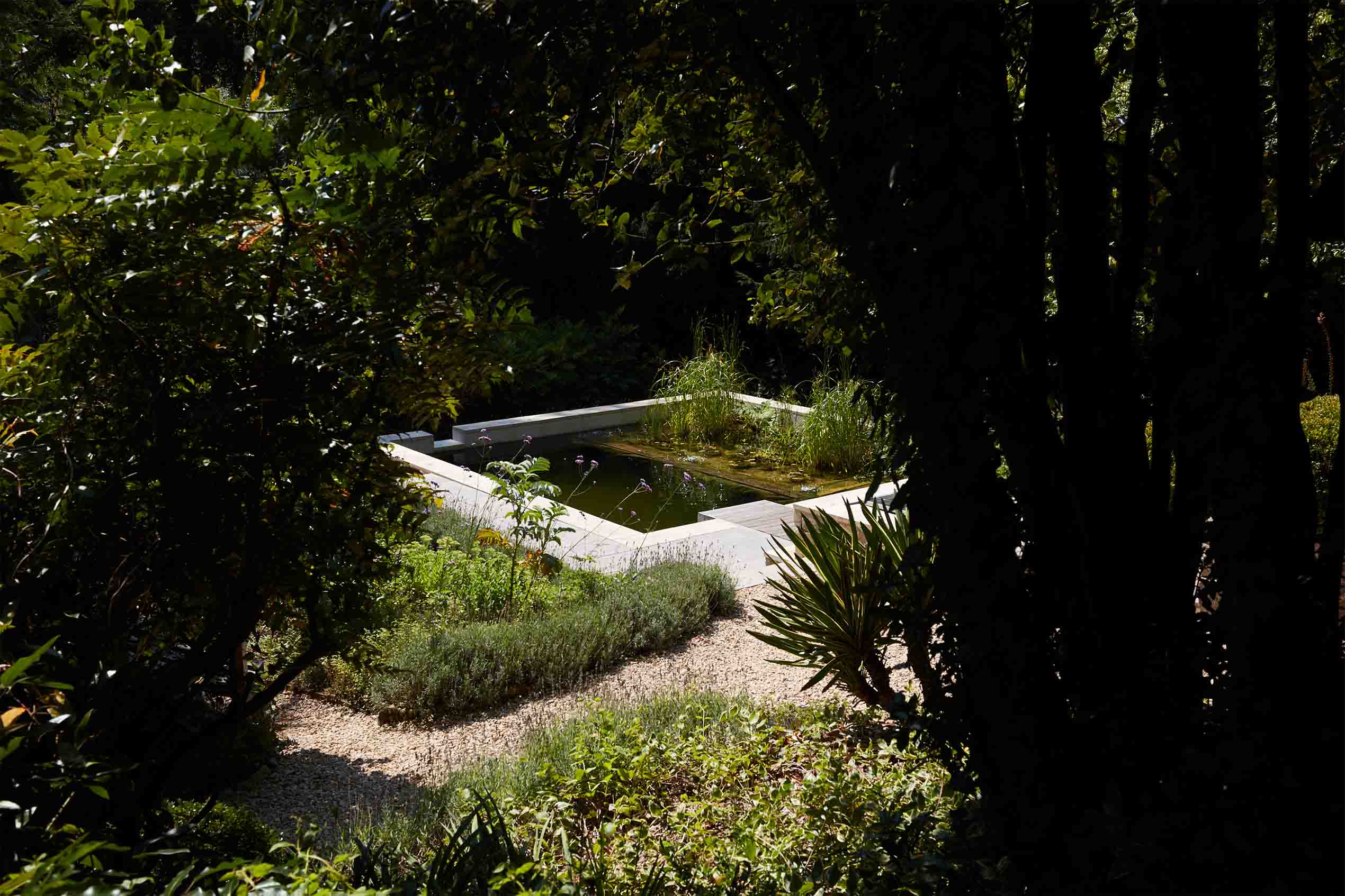 Selby Landscapes | The Grove | secluded pool The Grove | secluded pool | Selby Landscapes