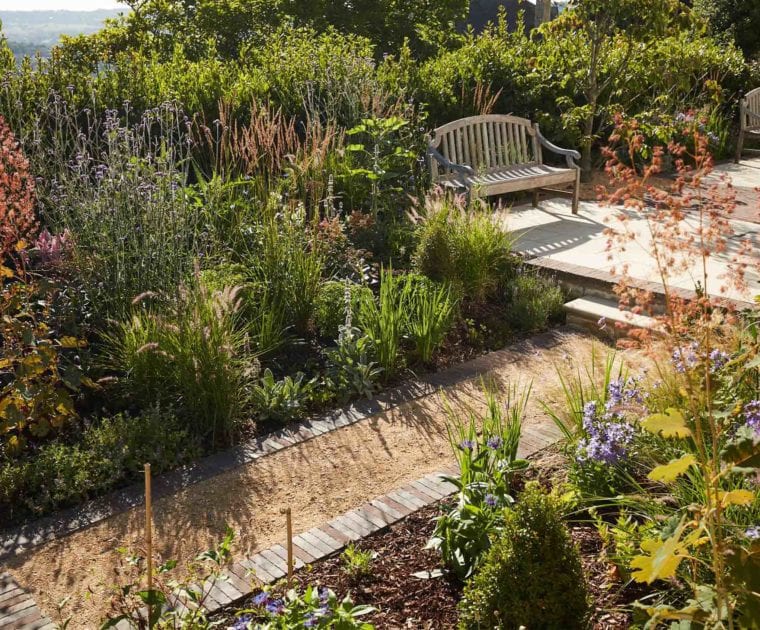 Selby Landscapes | Courtney House | planting