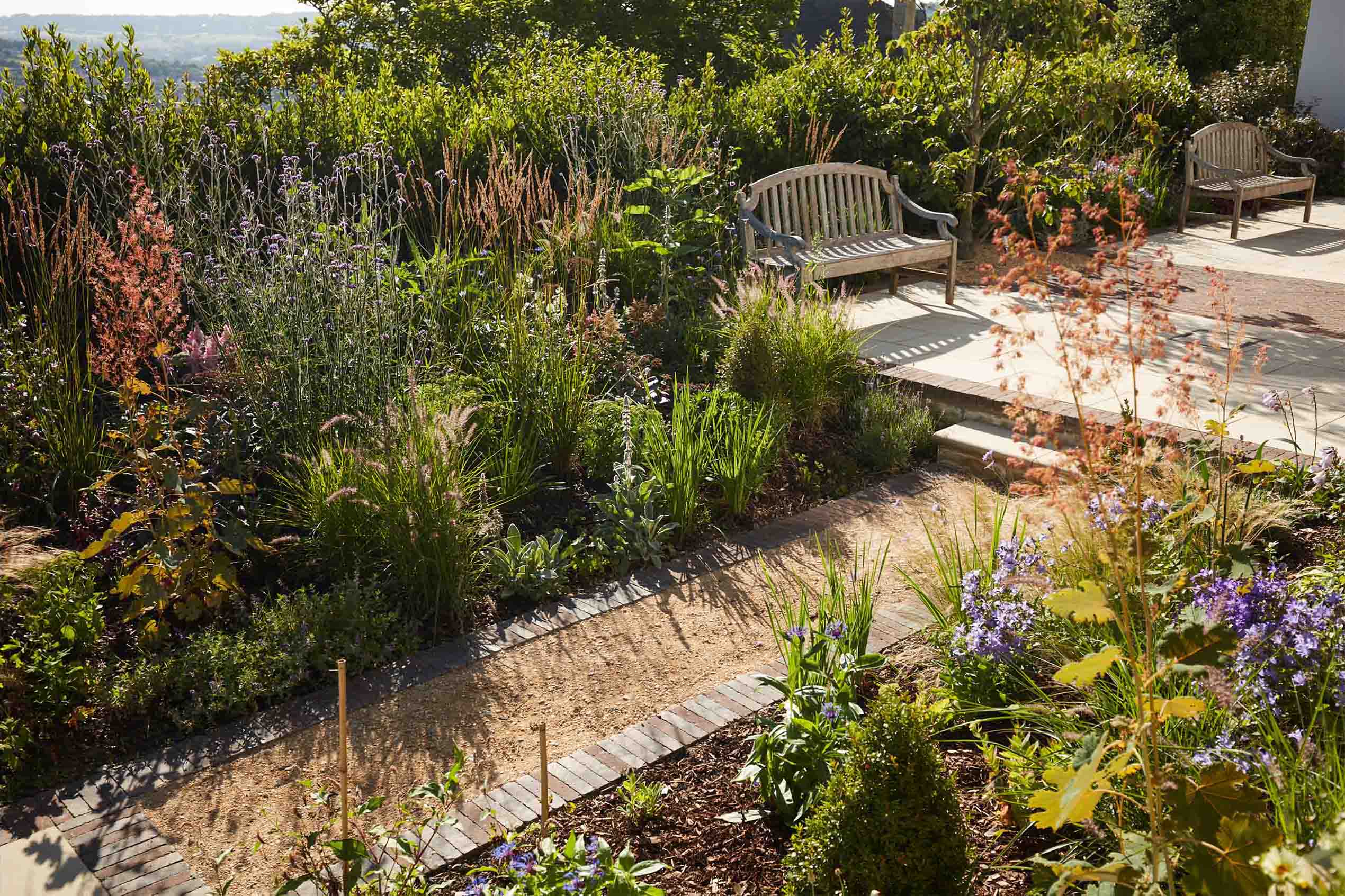 Selby Landscapes | Courtney House | planting