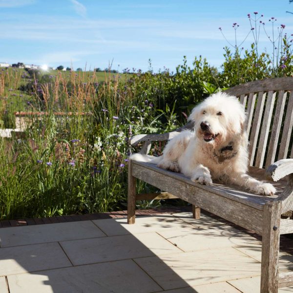 Selby-sq-02-1500 Selby-sq-02-1500