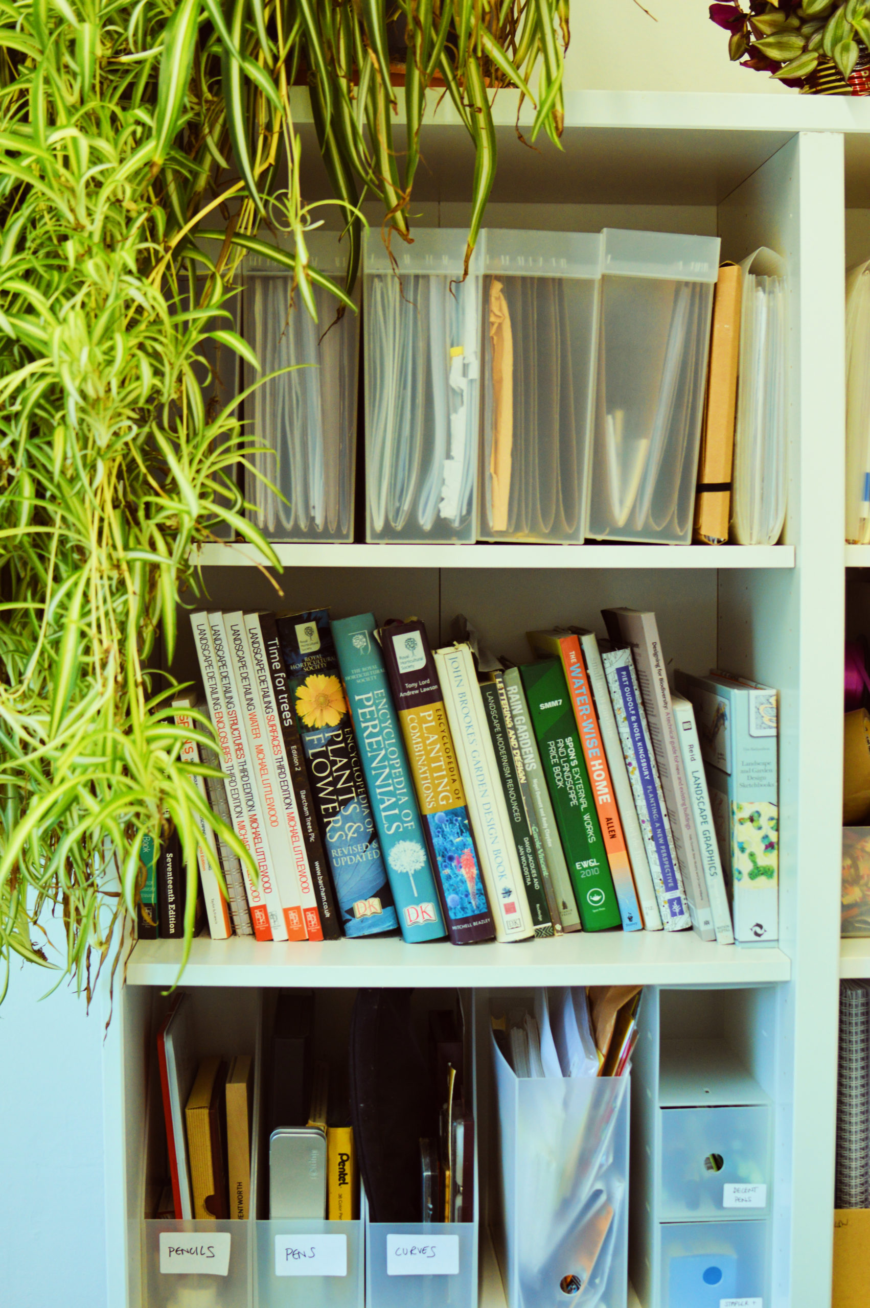 DSC_0009-1 Books