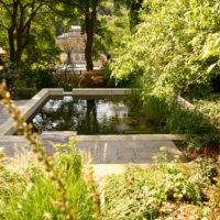 Natural Swimming Pool